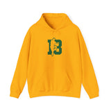 Slick Watts Hoodie ( White, Sport Gray and Gold)