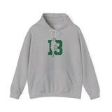 Slick Watts Hoodie ( White, Sport Gray and Gold)