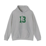 Slick Watts Hoodie ( White, Sport Gray and Gold)